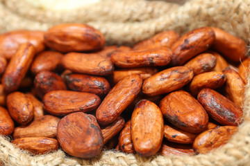 Roasted cocoa beans for chocolate production