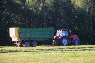 Agriculture, harvesting - red tractor with green trailer rides on the edge of the field for loading in summer afternoon on the background of green forest