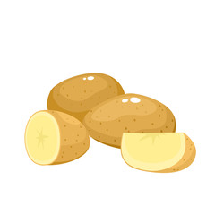 Bright vector illustration of colorful potato isolated on white