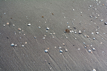 Meer, Strand ,Urlaub ,Adria 
