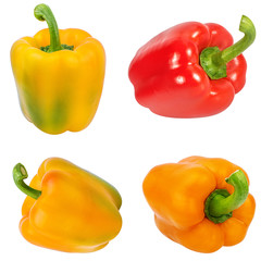 Fresh sweet pepper red and yellow bell isolated on white background with clipping path