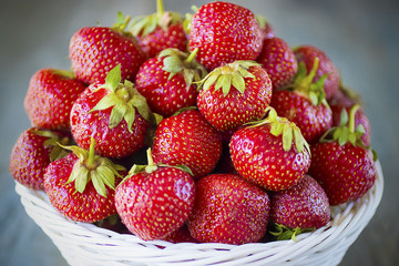 Ripe strawberries in white basket  on  gray background.