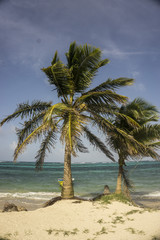 Fototapeta na wymiar tropical beachfront