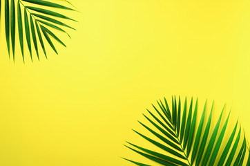Tropical palm leaves on pastel yellow background. Minimal summer concept. Creative flat lay with...