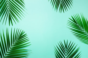 Tropical palm leaves on pastel blue background. Minimal summer concept. Creative flat lay with copy space. Top view green leaf on punchy pastel paper