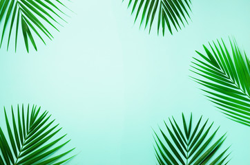 Tropical palm leaves on pastel blue background. Minimal summer concept. Creative flat lay with copy space. Top view green leaf on punchy pastel paper
