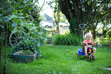 Dreirad für Kinder