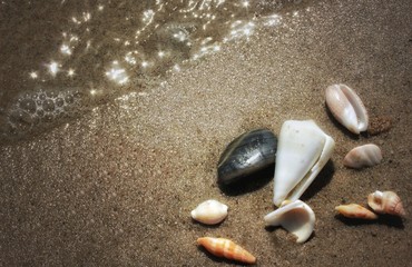 Seashell and seastone