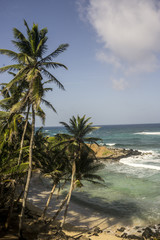 Fototapeta na wymiar beachfront on tropical island
