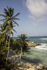 beachfront on tropical island