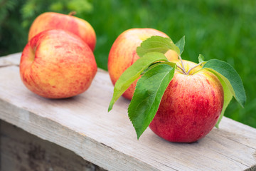 Red and yellow ripe apples Gala sort on wooden background