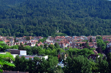 Fototapeta na wymiar Blick auf Freiburg-Wiehre