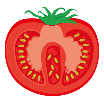 11 Best 野菜のイラスト Images Stock Photos Vectors Adobe Stock 11 Best 野菜のイラスト Images Stock Photos Vectors Adobe Stock