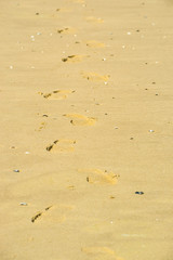 Footsteps shoe prints in the sand on an sunny day at the beach