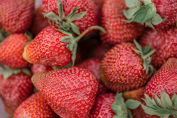Strawberry close up. Fresh harvest strawberries background. Top view. Belarus, Minsk.