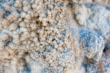 Coral reef at the wall of the Reef cave (Rifovaya cave), Don river, Volgograd region