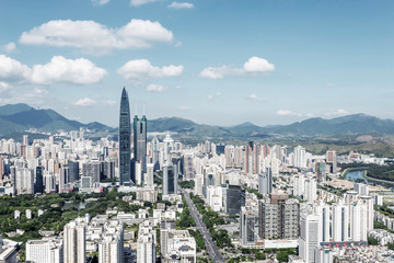 skyscrapers and mansions of a modern city