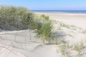 North Sea beach in The Netherlands with dunes and green marram grass against a blue sky in summer