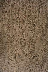 Building material bark beetle painted on the wall with the color of the sun and brown paint