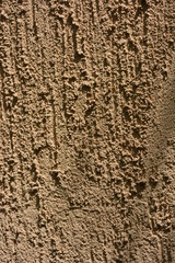 Building material bark beetle painted on the wall with the color of the sun and brown paint