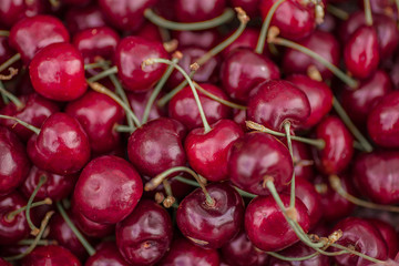 Beautiful juicy sweet cherries background. Close up of pile of ripe cherries. Minsk, Belarus.