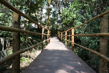 Obraz premium Ponte de madeira no meio da trilha do Parque Ecológico Eldorado em Contagem Minas Gerais