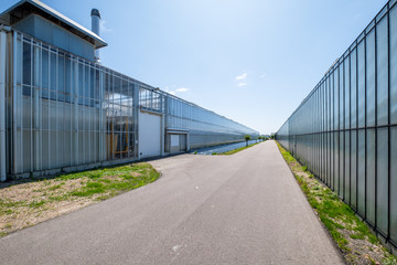 Diminishing perspective view of a greenhouse in the Netherlands