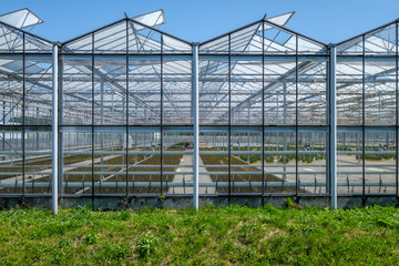 Obraz premium View inside a greenhouse in the Netherlands