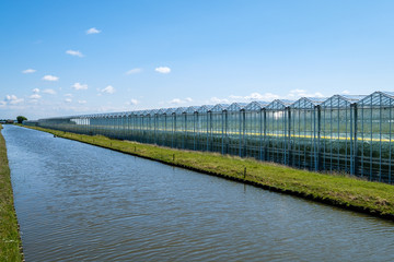 Diminishing perspective view of a greenhouse along a canal, Westland, the Netherlands