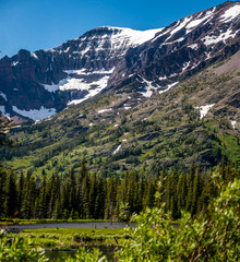 Fototapeta premium The pond where the A bull moose came ashore at Aster Park inside Glacier National Park, Montana.