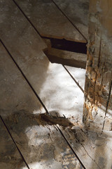 Decayed Wood Water Damage in Bathroom Floor and Walls
