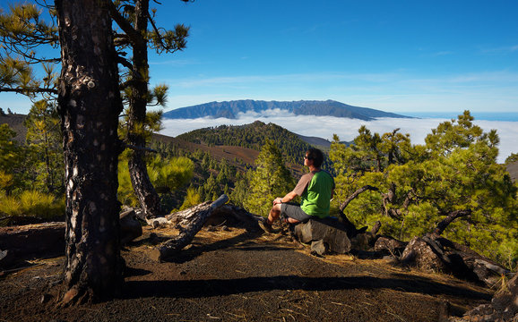 Man sitting on the stone watching a volcanic landscape of pine forest with a Caldera de Taburiente on background, island of La Palma, Canary Islands, Spain