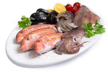 Pesci, crostacei e molluschi freschi