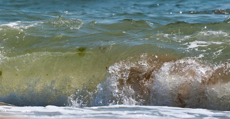 The panorama  of big wave on the sea  with a lot of foam. fake color. Copy space. Concept of travel.