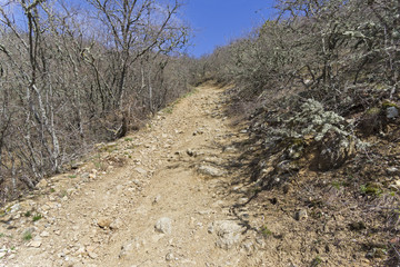 A dirt road on a steep slope. Crimea.