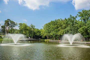 summer outdoor park with lake and fontain in bright day time