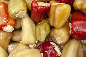 Semi-prepared Bulgarian stuffed peppers. Frozen food.