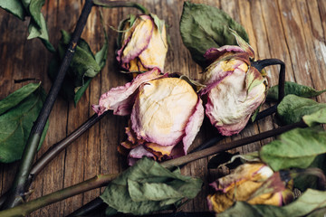 Dead roses on a wooden board (close up)