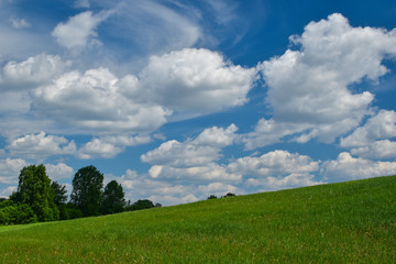 Landscape with green grass on the hillside, trees at the foot of the hill and clouds on the blue sky.