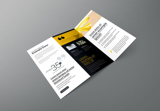 Trifold Business Brochure with Triangular Elements