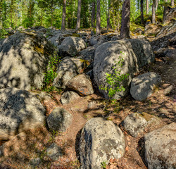 Windy day on lake Vuoksa in the Leningrad region.  Priozersky district.