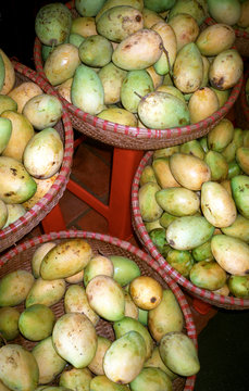 Mango at the market