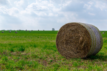 ein Feld mit Strohballen, bei blauem Himmel