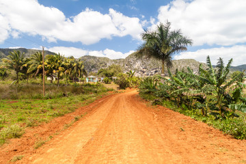 Fototapeta na wymiar Road across Guasasa valley near Vinales, Cuba