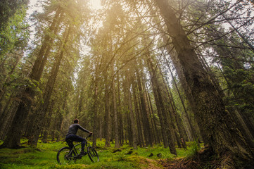 Cyclist Riding the Bike