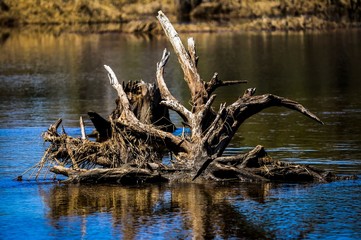 Photos of the great outdoors 