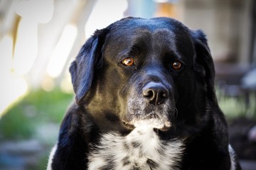 Photos taken in the great outdoors