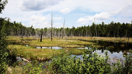 Obraz premium Photos taken in the great outdoors