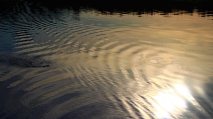 Photos taken in the great outdoors