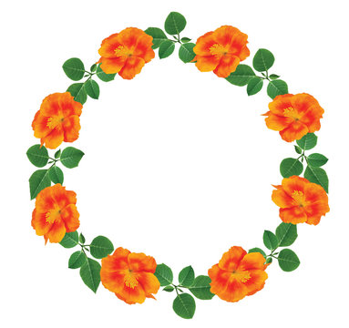 Orange flowers wreath of live flowers with space for text or photo.